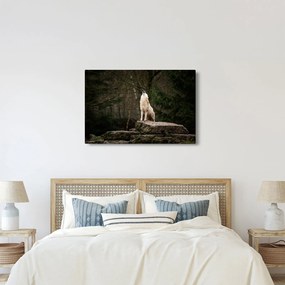 Obraz - Vytie vlka (90x60 cm)