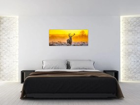 Obraz - Jeleň pri východe slnka (120x50 cm)