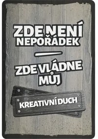 Ceduľa BU20040 20x30 cm Neporiadok