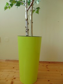Umelý strom- Breza 205 cm