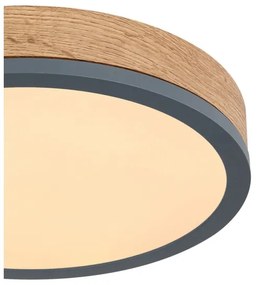 Globo 416080WD1R - LED Stropné svietidlo DORO LED/12W/230V pr. 30 cm