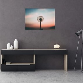 Obraz - Držím ťa, púpava (70x50 cm)
