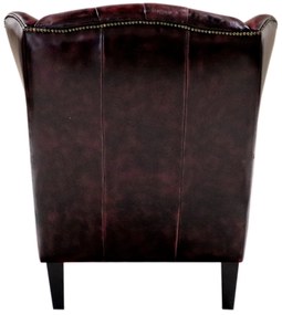 furniture-nabytek.cz - Kožené kreslo Chesterfield