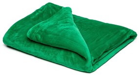 Zelená mikroplyšová deka My House, 150 × 200 cm