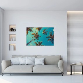 Obraz - Vysoké palmy (90x60 cm)