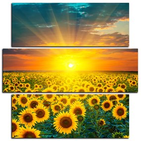 Obraz na plátne - Slnečnicové pole pri západe slnka - štvorec 3199D (75x75 cm)