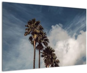 Obraz - Palmová dráma (90x60 cm)