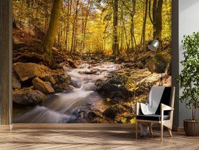 Gario Fototapeta Lesný potok na jeseň Materiál: Vliesová, Rozmery: 150 x 105 cm
