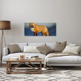 Obraz - Liška na snehu (120x50 cm)