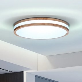Brilagi - LED Stmievateľné stropné svietidlo MOLINA LED/48W/230V 3000-6500K + DO