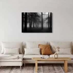 Obraz - Les v hmle (90x60 cm)