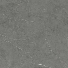 Dlažba Tessino Grey Natural 120x120 R