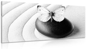 Obraz Zen kameň s motýľom v čiernobielom prevedení - 120x60