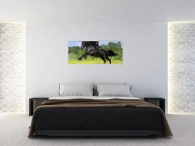 Obraz - Kôň s vzdušnou hrivou (120x50 cm)