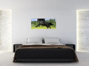 Obraz - Kôň s vzdušnou hrivou (120x50 cm)