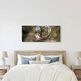 Obraz - Odraz v sklenenej guli (120x50 cm)