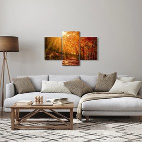 Obraz jesenného lesa (90x60 cm)