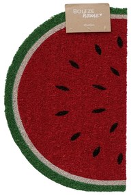 Vnútorná rohožka Melone, 60x40 cm