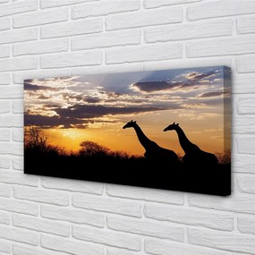 Obraz canvas Žirafy strom mraky 120x60 cm