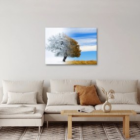 Obraz - Zmena ročného obdobia (70x50 cm)