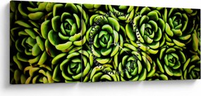 Obraz skalníc (s hodinami) (90x30 cm)