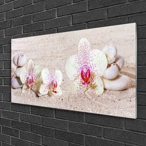 Skleneny obraz Orchidea kamene zen písek 125x50 cm