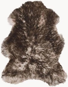 Ovčia koža Cosy