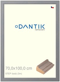 DANTIK rám na obraz 70x100 | STEP šedá (Plexi Čiré)