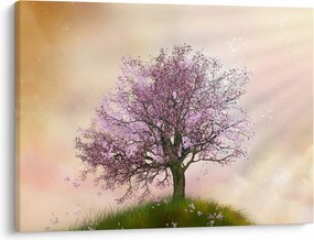 Obraz rozkvitnutého stromu na vrchole kopca (70x50 cm)