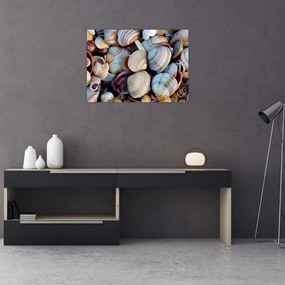 Sklenený obraz mušlí (70x50 cm)