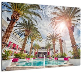 Obraz - palmy s bazénom (70x50 cm)