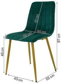 Dekorstudio Zamatová jedálenská stolička BELT tmavo zelená - zlaté nohy