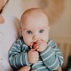 Skladacia pyramída s hryzadielkami, zemitá