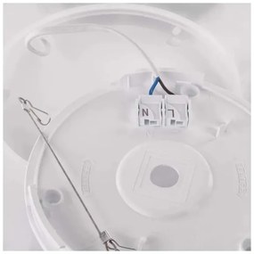 LED Stropné svietidlo FLORI LED/22W/230V 4000K čierna 42x42 cm