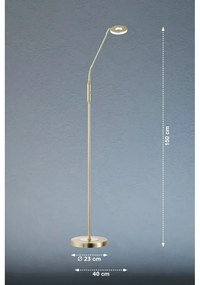 LED stmievateľná stojacia lampa v zlatej farbe (výška 150 cm) Dent – Fischer &amp; Honsel
