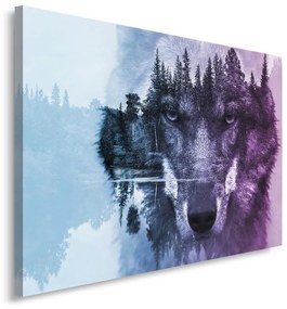 Obraz na plátně Lesní vlk Zvířata Příroda - 90x60 cm