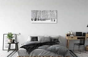 Obraz plexi Zimný brezy 100x50 cm