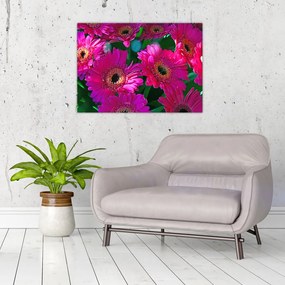Obraz - kvety (70x50 cm)