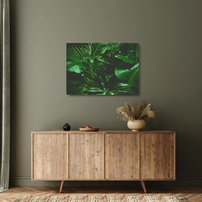 Sklenený obraz - Palmové listy (70x50 cm)