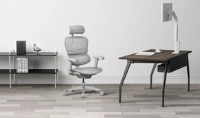 Grospol - Kancelárske kreslo Ergohuman 2 Basic GS Grey
