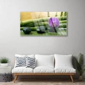 Obraz na skle Kvet kamene bambus príroda 125x50 cm