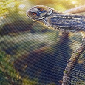 Obraz sovy na strome (90x60 cm)