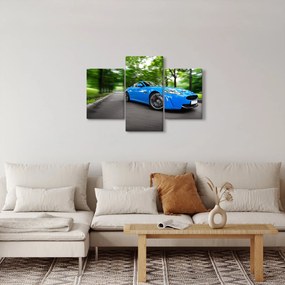 Obraz - Závodné auto (90x60 cm)