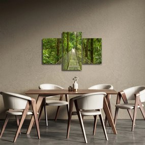 Obraz - Závesný most (90x60 cm)