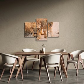 Obraz levice (90x60 cm)