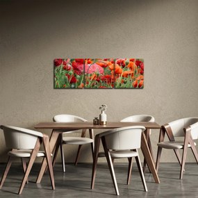 Obraz z poľa vlčích makov (s hodinami) (90x30 cm)