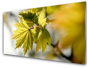 Obraz na akrylátovom skle Listy rastlina 140x70 cm