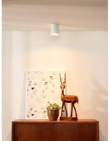 Lucide 09100/01/31 - Bodové svietidlo BODI 1xGU10/50W/230V