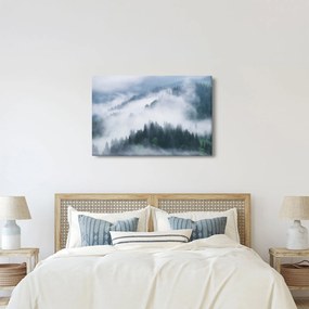 Obraz - Stromy v hmle (90x60 cm)