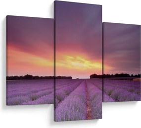Obraz - Levanduľové pole (90x60 cm)